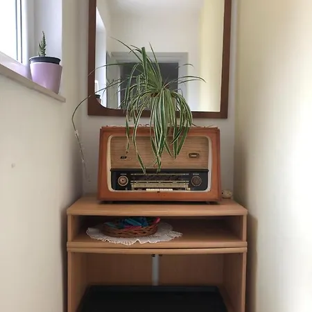 Apartman Branka